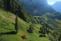 2015-07-01_1Pano-bei-Lacke (231).JPG